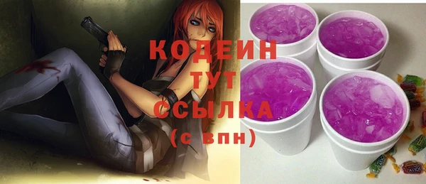 дурь Гусев