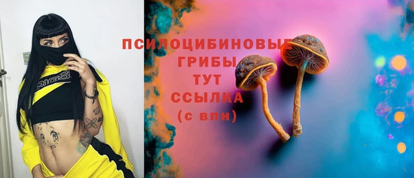 синтетический гашиш Гусиноозёрск
