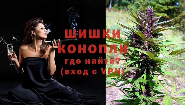 дурь Гусев