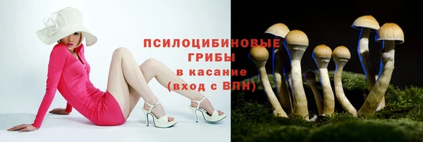 дурь Гусев