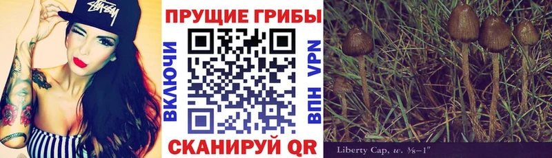 Псилоцибиновые грибы мицелий  Рудня 